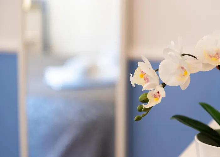 Guest house San Pietro Holidays 4*
