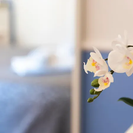 Guest house San Pietro Holidays *